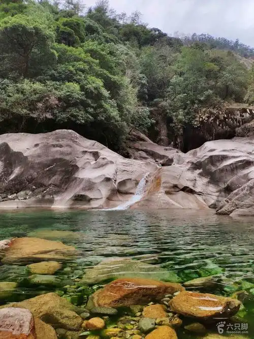 大安源龙井此情此景,我想吟诗一首!啊～卧槽!