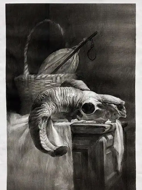 长期作业#素描  #静物  #照片写生  #美术生集训  #素描静物  #羊头骨