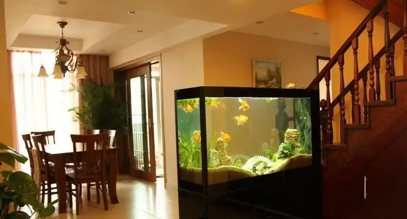 请问鱼缸摆在客厅的什么位置好啊