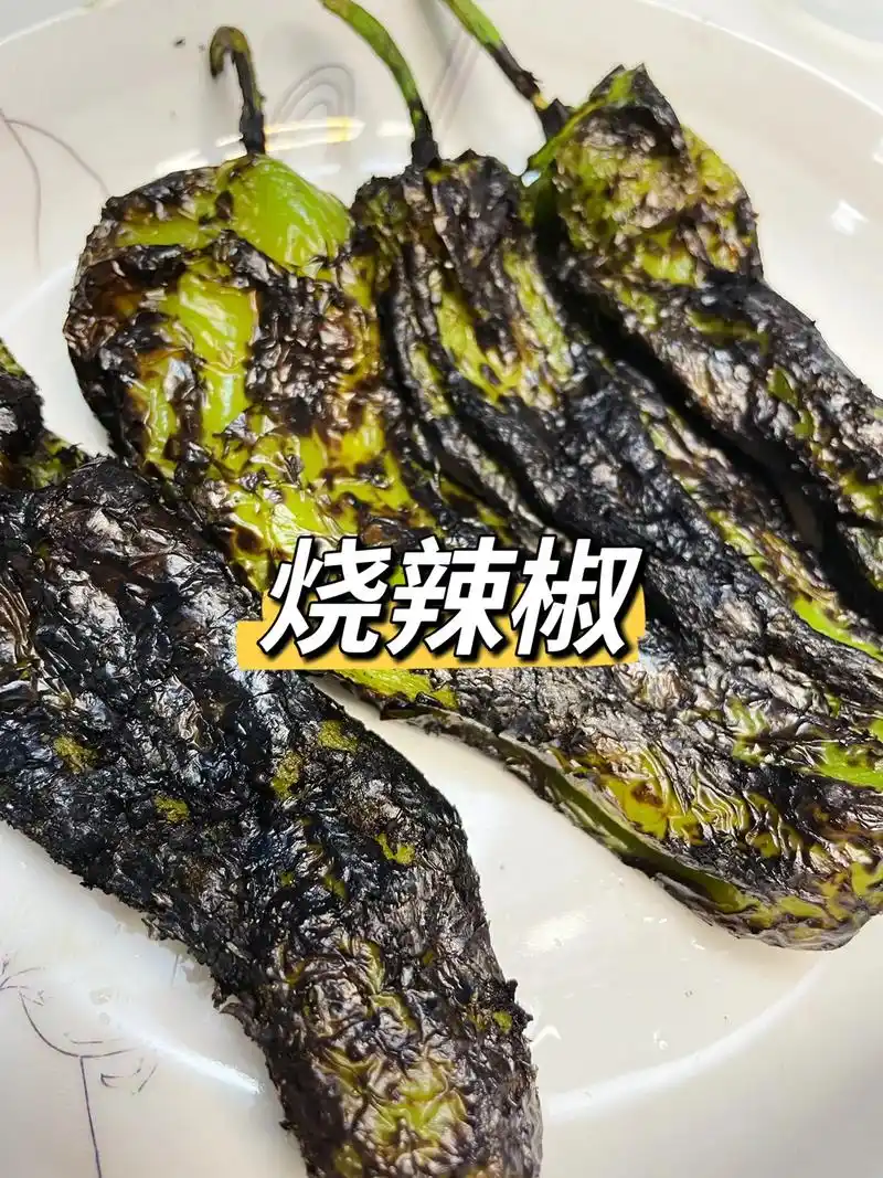 98答应我一定要试试这个烧辣椒97不吃真的后悔  辣椒遇上火 - 抖