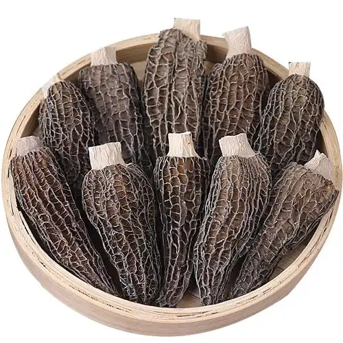 云南羊肚菌干货500g非野生羊肚菇头茬新鲜菌菇包特产炖汤干羊肚菌