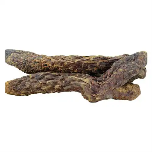 肉苁蓉都是有哪些养生功效呢