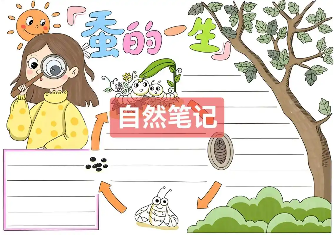 线稿可打印 #手抄报模板 #自然笔记 #蚕的一 - 抖音