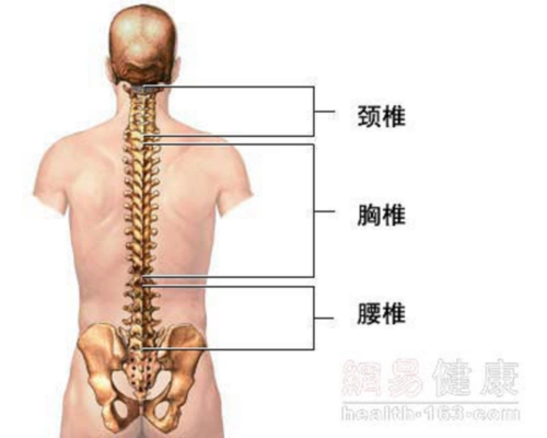 腰椎间盘突出根本原因是气阳虚(附特效方) 此博文qi转载