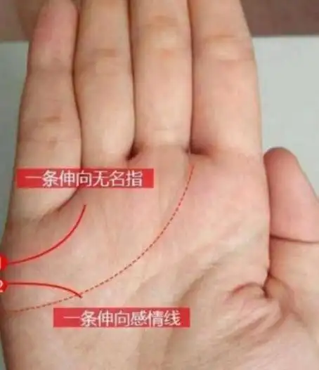 手相感情线有锁链状,有吸引异性的本能魅力,见异思迁,花心男命