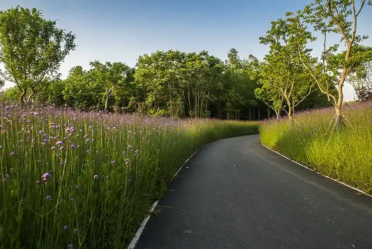 烟波浩淼金银湖 摄影 罗汉