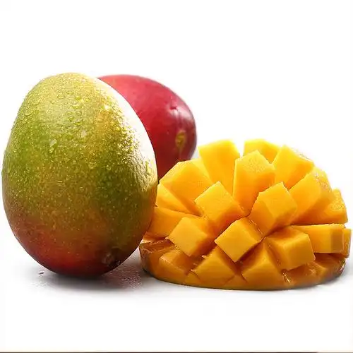 伊朗乱成一锅粥