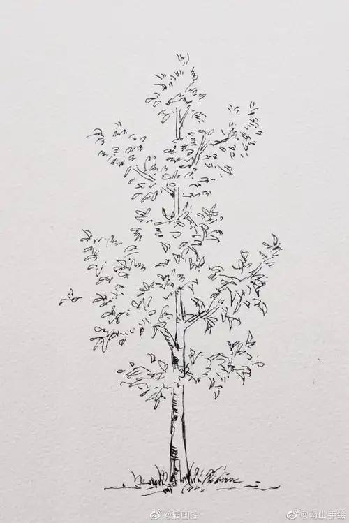 手绘插画##遇见艺术#投稿:@南山手绘|钢笔线稿——大树#手绘
