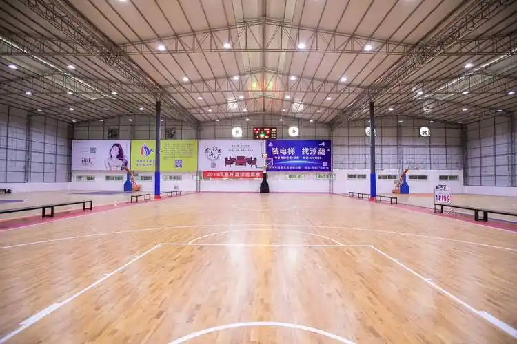 为何篮球场馆需铺设专业运动木地板_保护_功能性_冲击力