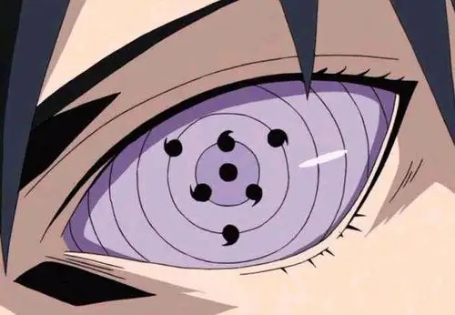 轮回眼分为两种:一种是无勾玉的轮回眼一种是有勾玉的轮回眼,并且这