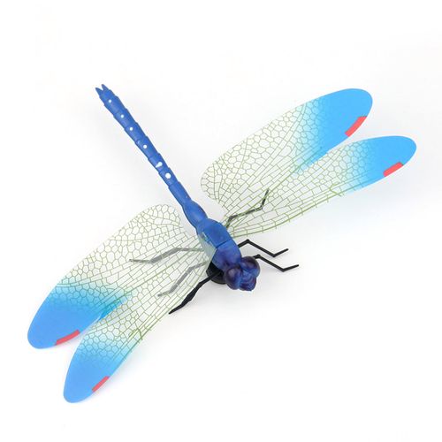 仿真蜻蜓模型塑料胶片材质环保飞行昆虫道具仿真
