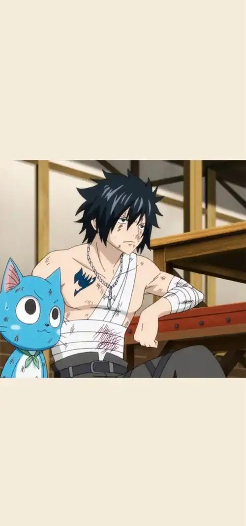 动漫壁纸##妖精的尾巴##纳兹·多拉格尼尔##格雷