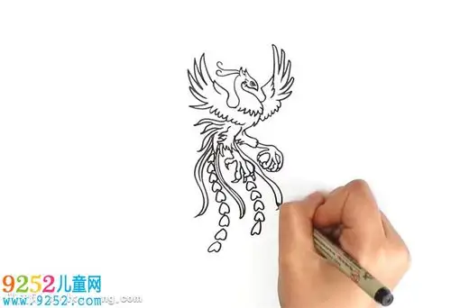 小学生怎样画凤凰孔雀简笔画凤凰简笔画教程