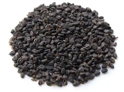 补骨脂的功效与作用及食用方法 - 中药易