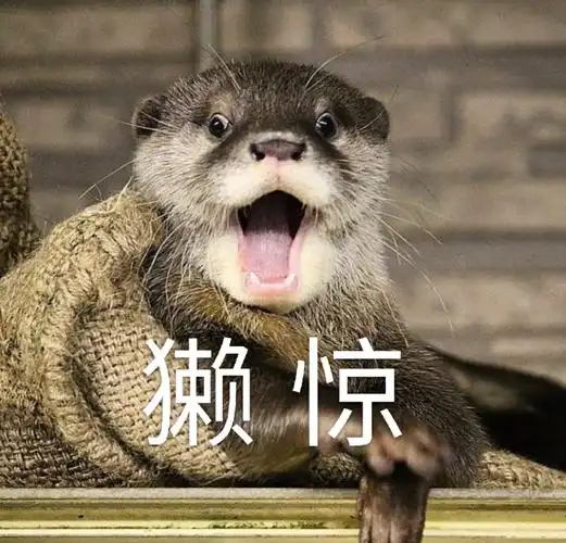 做了一些水獭表情包