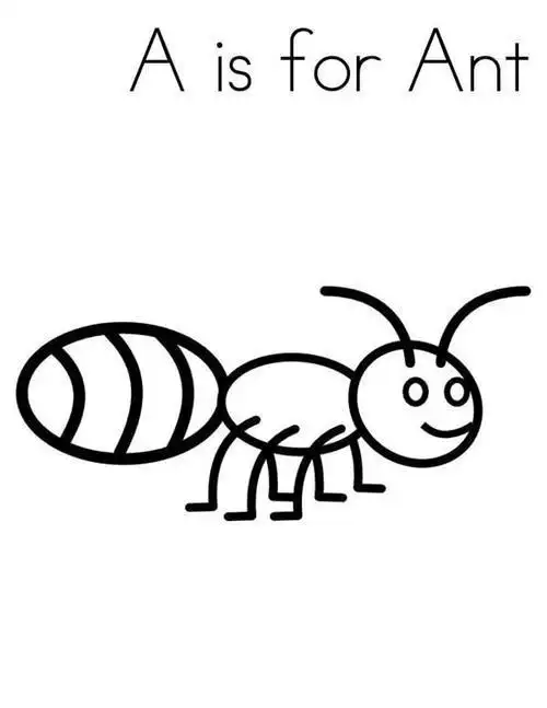 英语字母简笔画a是ant
