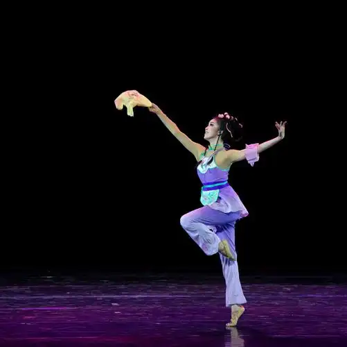 中国古典舞女子独舞《撷云秀锦》舞者:金源宇