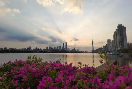 其它 盛夏的清晨 写美篇七月骄阳似火,早上5点出门骑行过江,就是为了