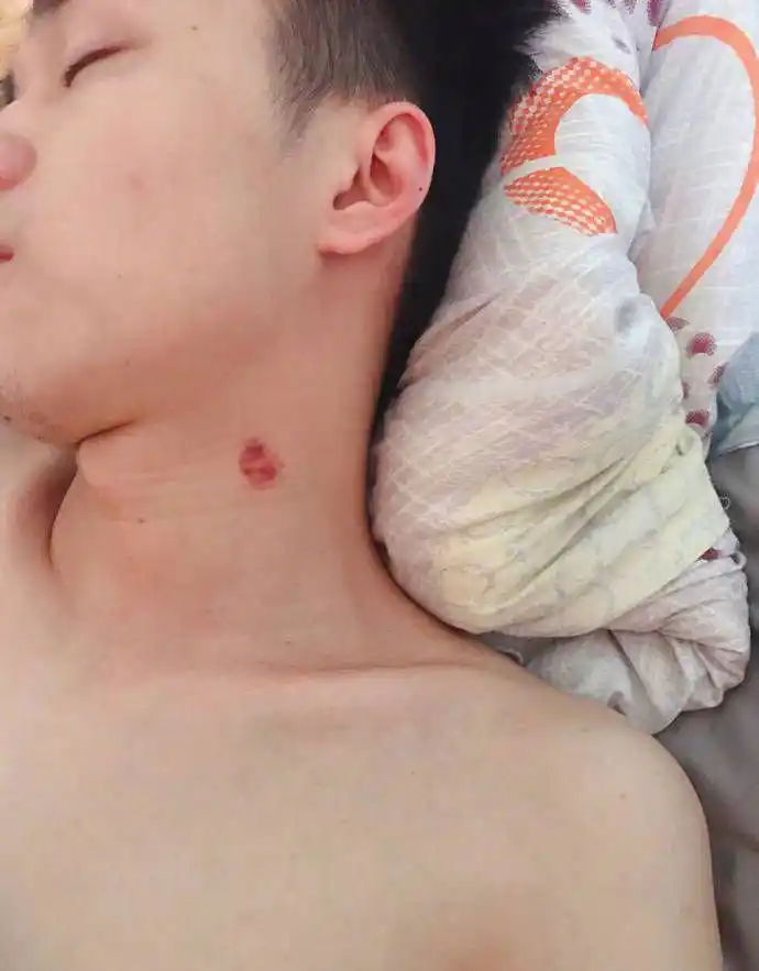 老婆怀孕,老公外面种草莓,这能原谅吗