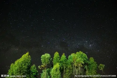 森林星空图片