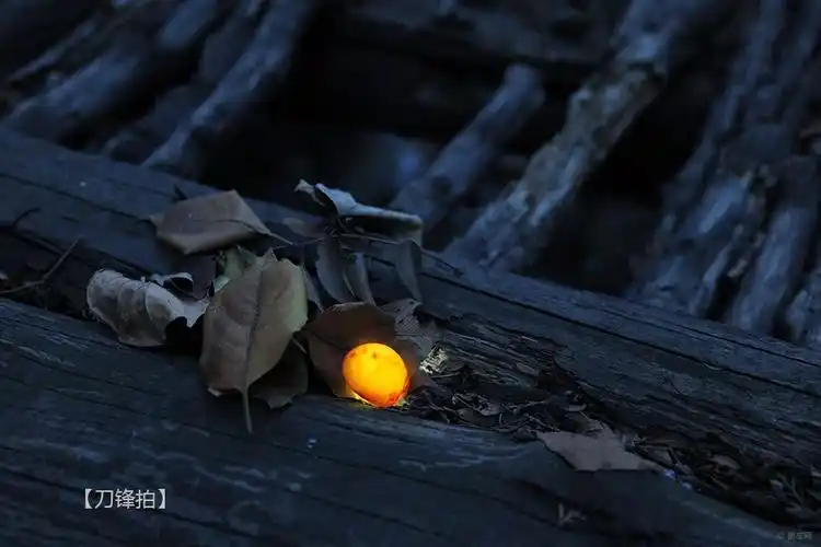 【刀锋拍】璀璨