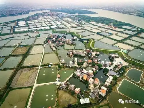 航拍佛山桑基鱼塘告诉你一个真正的岭南水乡