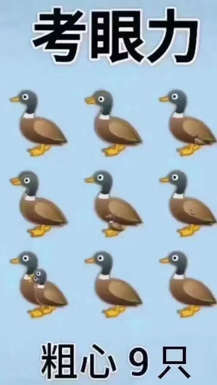 考眼力图中有几只鸭子