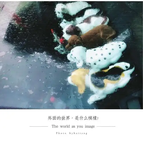 外面的世界,是什么模样?