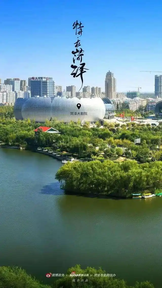 这就是菏泽|牡丹就在菏泽