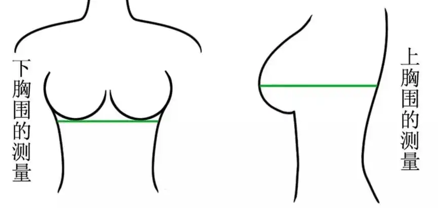 罩杯abcd怎么分大小?_酷知经验网