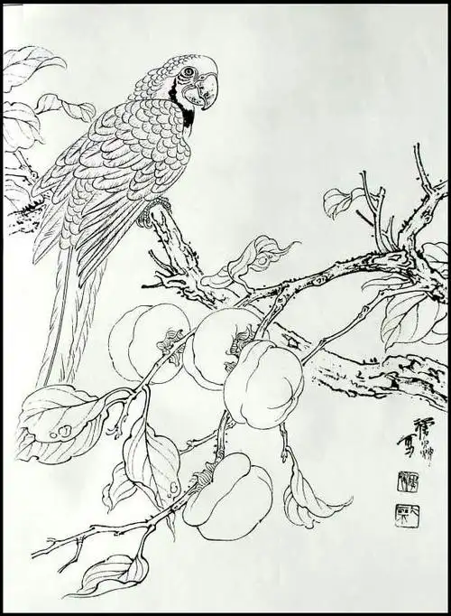 白描花鸟画