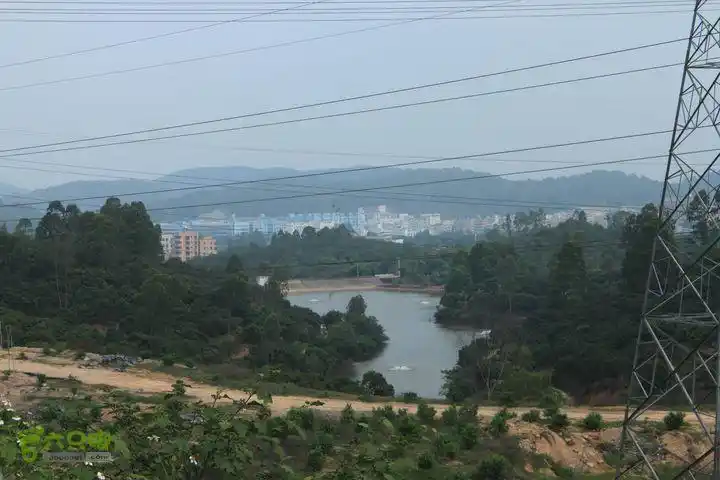 坪山松子坑img_6752