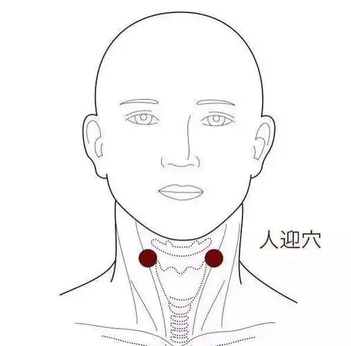 人迎穴位置图