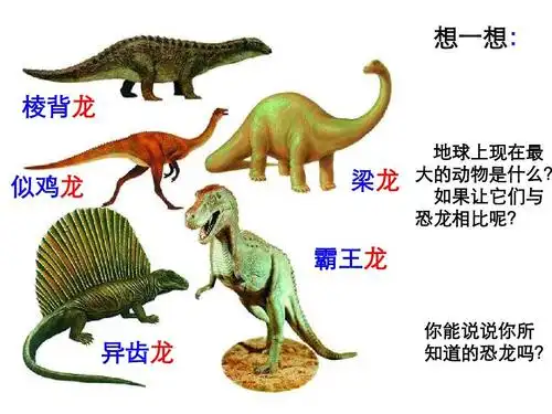 消失了的恐龙ppt