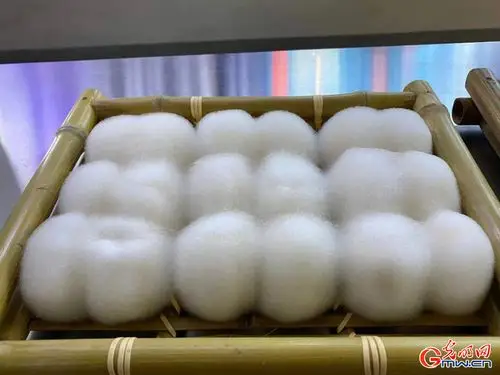 【首都系列文化直播】"京味北京"之走进王致和腐乳科普馆