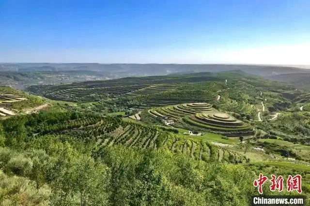 初秋的上午,云消雾散,在宁夏固原市彭阳县,层层叠叠碧绿的梯田,从山脚