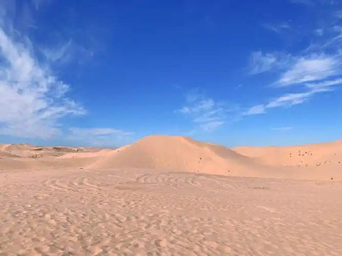 沙漠蓝天骆驼麋鹿和我的手机相册