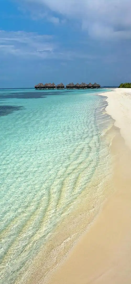 这个夏天总要去一次海边吧 98