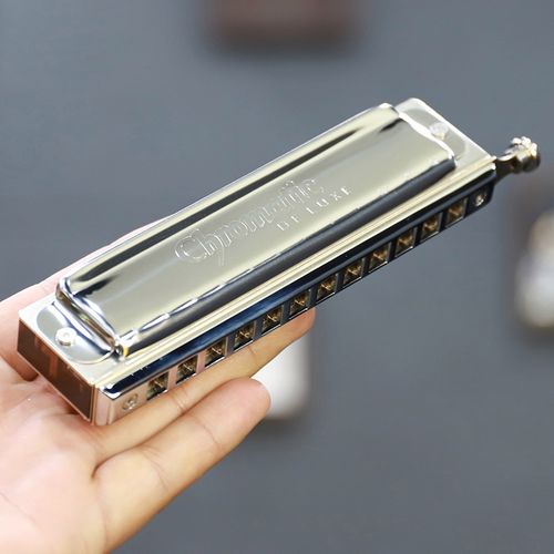 德国seydel赛德chromaticdeluxe半音阶口琴12孔初学者成人学生