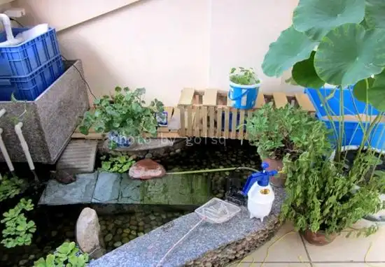 居民楼的阳台龟池欣赏下阳台设计