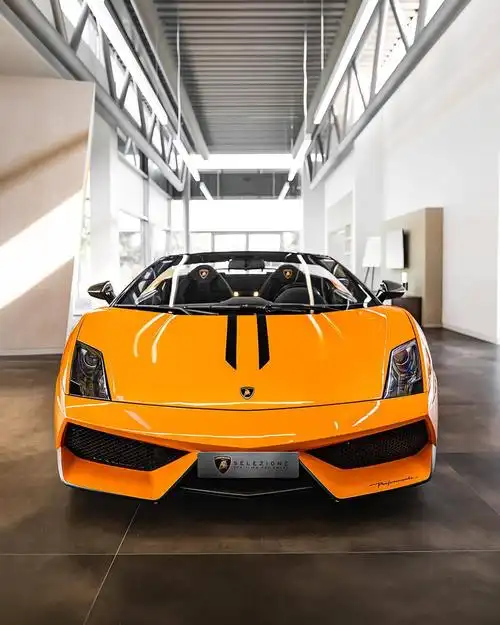 lamborghini gallardo lp 570-4 performant