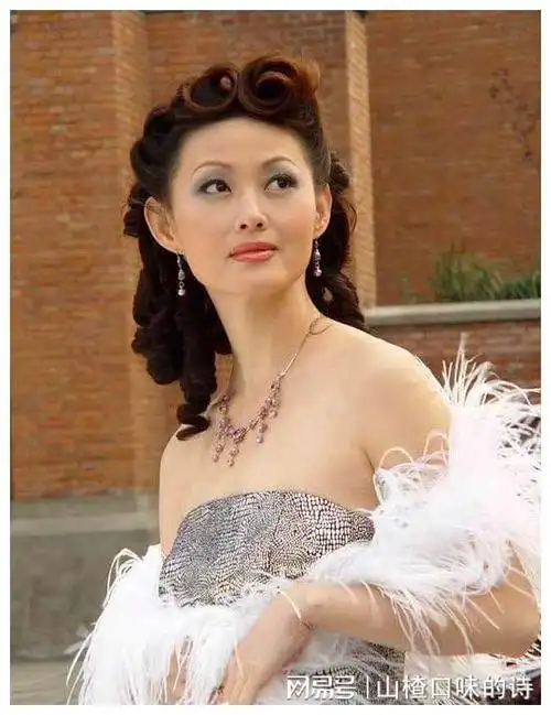 在《蓝色妖姬》,《巾帼英雄穆桂英》,《望海的女人》等电视剧中当主角