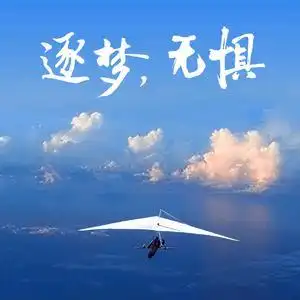 逐梦无畏头像