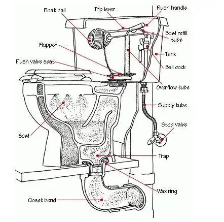 请让我安安静静地做一个马桶