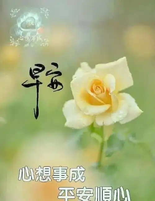 周一最新清晨早上好问候动态表情图片漂亮早安问候祝福语