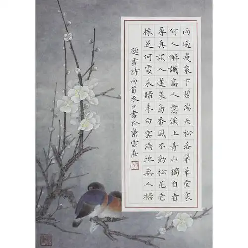 紫云庄a4硬笔书法专用纸小学生比赛56格竖式创作作品纸钢笔纸318