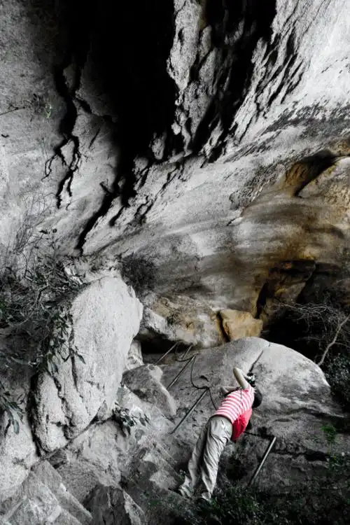 天然空调凉爽还洗肺~_凤凰岭