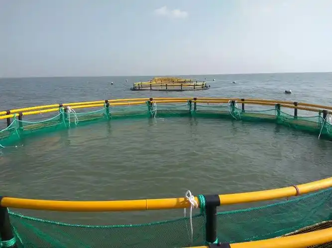 山东养殖网箱养殖深海网箱
