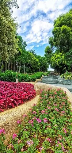 林闲阴愉 - 深圳国际园林花卉博览园