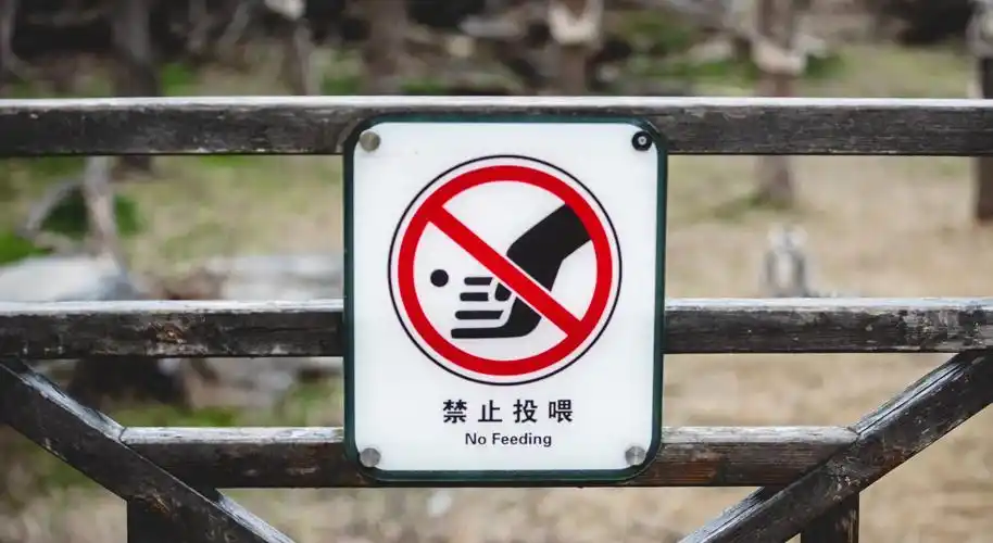 去动物园的时候,你会发现每个动物区的入口都立着"禁止投喂"的牌子